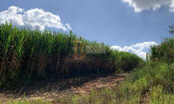 Imagem 6: Fazenda com cana arrendada próximo a Botucatu