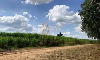 Imagem 3: Fazenda com cana arrendada próximo a Botucatu