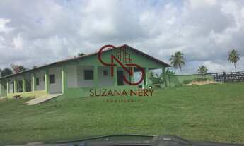 Imagem 3: Área á venda em Nísia Floresta com 37 hectares excelente para viveiro de peixe e camarão