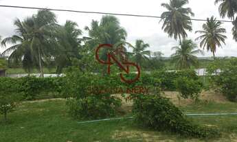 Imagem 4: Área á venda em Nísia Floresta com 37 hectares excelente para viveiro de peixe e camarão