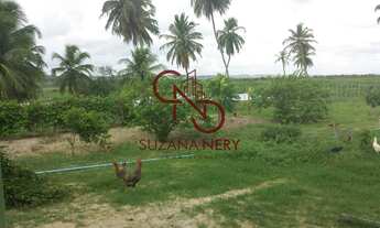 Imagem 5: Área á venda em Nísia Floresta com 37 hectares excelente para viveiro de peixe e camarão