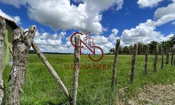 Imagem 6: Área á venda em Nísia Floresta com 37 hectares excelente para viveiro de peixe e camarão