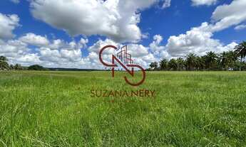 Imagem 7: Área á venda em Nísia Floresta com 37 hectares excelente para viveiro de peixe e camarão