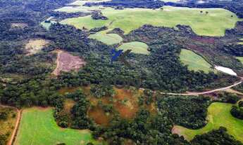 Imagem 5: FAZENDA EM GUARAPUAVA PR