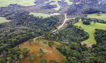 Imagem: FAZENDA EM GUARAPUAVA PR