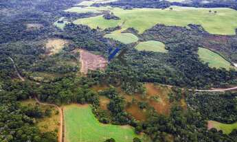 Imagem 6: FAZENDA EM GUARAPUAVA PR