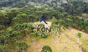 Imagem 3: FAZENDA EM GUARAPUAVA PR