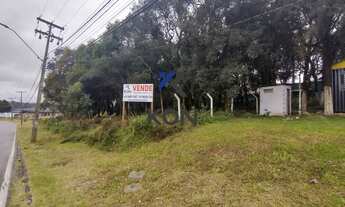 Imagem 3: Terreno a venda em Araucária PR - Land for sale in Araucária PR Brasil