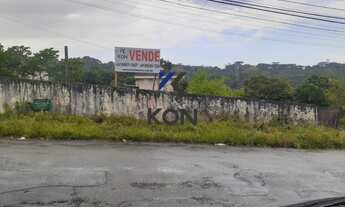 Imagem 6: Terreno ZR² a Venda no Vista Alegre