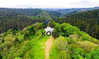 Imagem: PROPRIEDADE RURAL PARA VENDA EM MANDIRITUBA