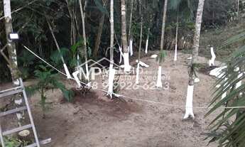 Imagem 6: Lindo Sítio a venda, com ribeirão, em Major Gercino