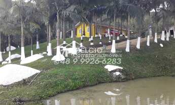 Imagem 7: Lindo Sítio a venda, com ribeirão, em Major Gercino