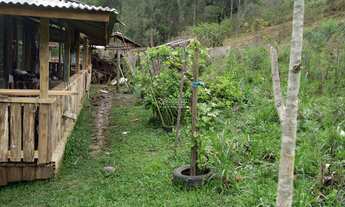 Imagem 3: Sítio com casa estilo antigo com madeira dura, de 3 Quartos, 12x8 Com madeira antiga, (com