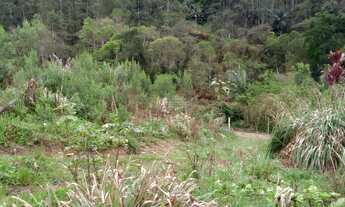 Imagem 4: Sítio com casa estilo antigo com madeira dura, de 3 Quartos, 12x8 Com madeira antiga, (com