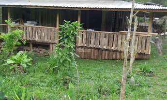 Imagem: Sítio com casa estilo antigo com madeira