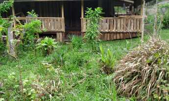 Imagem 2: Sítio com casa estilo antigo com madeira dura, de 3 Quartos, 12x8 Com madeira antiga, (com
