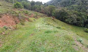 Imagem 3: FAZENDA a VENDA, para criação de gado, em Nova Trento SC, com 40 hectares de terra com 4 h