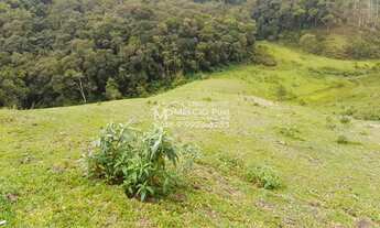 Imagem 4: FAZENDA a VENDA, para criação de gado, em Nova Trento SC, com 40 hectares de terra com 4 h