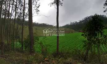 Imagem 5: FAZENDA a VENDA, para criação de gado, em Nova Trento SC, com 40 hectares de terra com 4 h