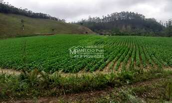 Imagem: FAZENDA a VENDA, para criação de gado