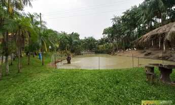 Imagem 6: ?Lindo sítio a VENDA com 30Mil m², Todo aproveitável, Com 2 Lagoas boas. Boa área e plant