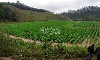Imagem 7: FAZENDA a VENDA, para criação de gado, em Nova Trento SC, com 40 hectares de terra com 4 h