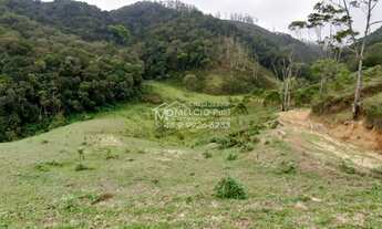Imagem 6: FAZENDA a VENDA, para criação de gado, em Nova Trento SC, com 40 hectares de terra com 4 h