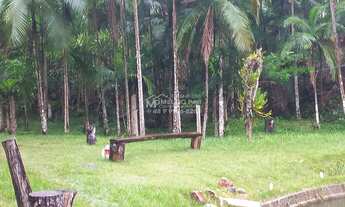 Imagem 2: ?Lindo sítio a VENDA com 30Mil m², Todo aproveitável, Com 2 Lagoas boas. Boa área e plant