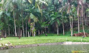 Imagem 3: ?Lindo sítio a VENDA com 30Mil m², Todo aproveitável, Com 2 Lagoas boas. Boa área e plant