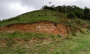 Imagem 2: FAZENDA a VENDA, para criação de gado, em Nova Trento SC, com 40 hectares de terra com 4 h
