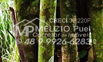 Imagem 5: Indo sítio, no bairro Vígolo em Nova Trento, próximo ao Santuário Santa Paulina. Com área