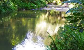 Imagem 6: Sítio a VENDA com CASA nova, de 100m², e riacho passando nos fundos, em Major Gercino. Com