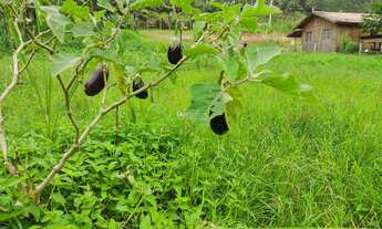 Imagem 4: Sítio a VENDA com CASA nova, de 100m², e riacho passando nos fundos, em Major Gercino. Com