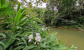 Imagem 2: Sítio a VENDA com CASA nova, de 100m², e riacho passando nos fundos, em Major Gercino. Com