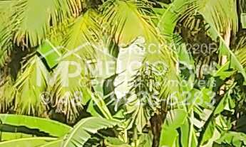 Imagem: Lindo sítio a VENDA com 30Mil m², Todo