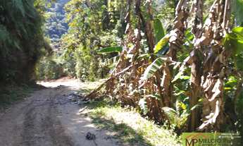 Imagem 7: SÍTIO a VENDA, com 4.000m², com ESCRITURA, no bairro S. Valentim em Nova Trento. Com beira