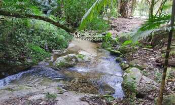 Imagem: SÍTIO a venda em Nova Trento. Com cachoeira