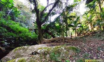 Imagem 2: SÍTIO a venda em Nova Trento. Com cachoeira, e área terreno de 30Mil m². Tem casa de madei