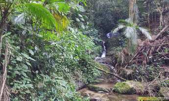 Imagem 4: SÍTIO a venda em Nova Trento. Com cachoeira, e área terreno de 30Mil m². Tem casa de madei