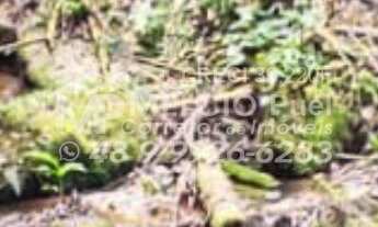 Imagem 3: SÍTIO a venda em Nova Trento. Com cachoeira, e área terreno de 30Mil m². Tem casa de madei