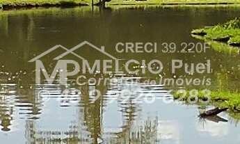 Imagem 5: Sítio a venda em Nova Trento, Bairro Tirol, Com CASA e lagoa de peixes prontos para abate