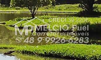 Imagem 7: Sítio a venda em Nova Trento, Bairro Tirol, Com CASA e lagoa de peixes prontos para abate