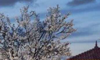 Imagem 3: STUDIO RESIDENCIAL em São Paulo - SP, Perdizes