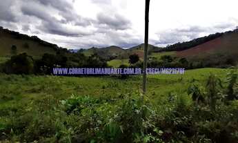 Imagem 5: Sítio com 56 hectares para Venda Zona Rural em Bom Jardim de Minas - MG