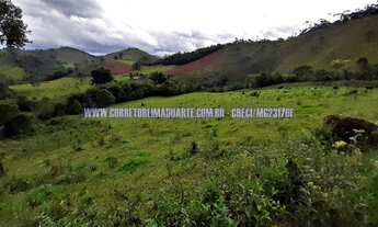 Imagem 6: Sítio com 56 hectares para Venda Zona Rural em Bom Jardim de Minas - MG
