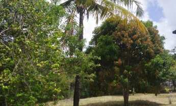 Imagem: CHÁCARA / SÍTIO RESIDENCIAL em Camacari