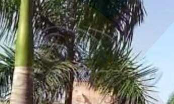 Imagem 2: Apartamento disponível para venda e locação no condomínio Parque Rochester 47 M²