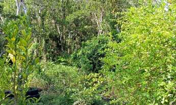 Imagem 7: CASA RESIDENCIAL em MONGAGUÁ - SP, Mongaguá