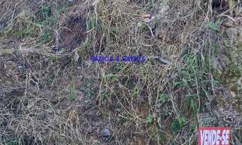 Imagem: TERRENO RESIDENCIAL em FRANCISCO MORATO