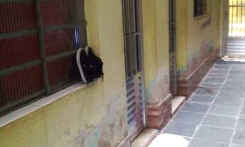 Imagem 7: CASA RESIDENCIAL em SÃO PAULO - SP, JARDIM VISTA ALEGRE